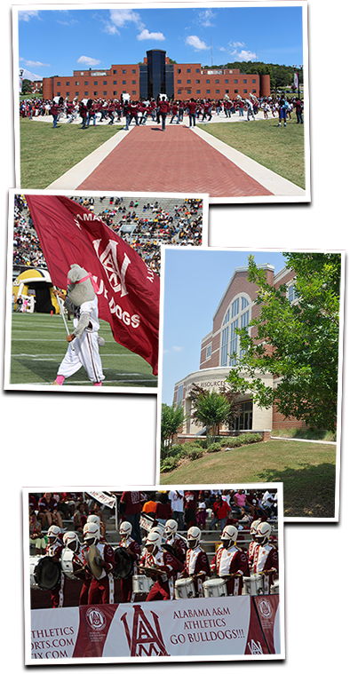 Various pictures of the AAMU campus designed to look like Polaroid photos