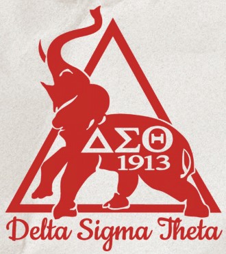 DST logo